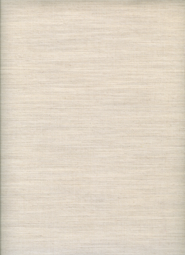SHELL - Masacril