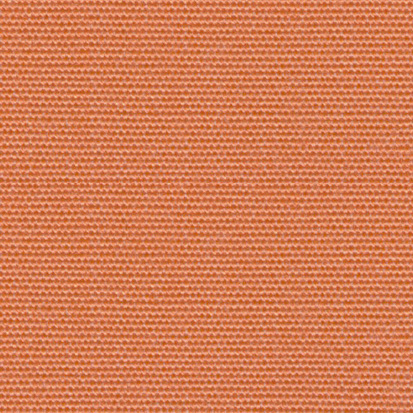 SALMON - Masacril