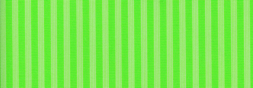 KIWI - Masacril