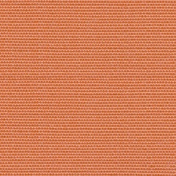 SALMON - Masacril